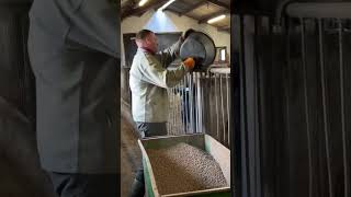 Newborn Calf Care: Essential Steps Shorts