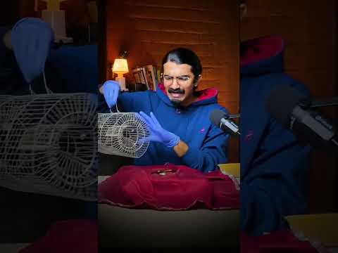 The Most Dangerous Animal in the World ๐๐ณ #facts #mystery #assamtezpur #status