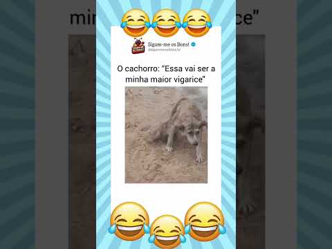É uma vigarice do cão 🐕