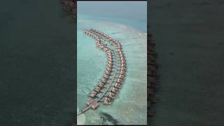 Las islas más extravagantes de las Maldivas #shorts #joe_hattab