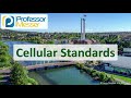 Mobile Network Standards and Technologies