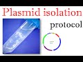Plasmid Isolation Techniques and Principles