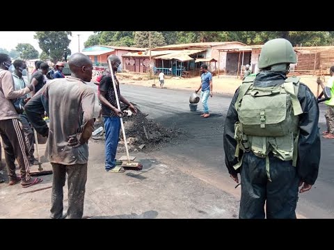 Cameroon sugarcane strike turns violent over wages