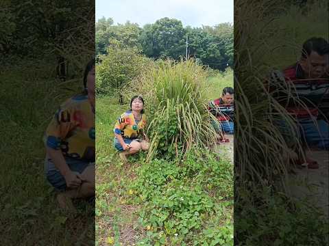 A little nature soothes your 😂🤣 Daily life of a couple...