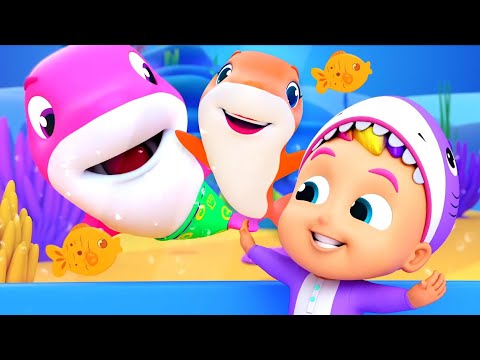 Baby Shark Song, Colorful Fish, Nursery Rhymes and Cartoon Videos for Kids