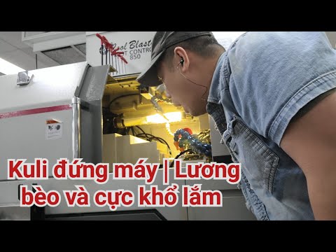 Sau 12 tiếng đi làm ở Mỹ quá cực | sao bà con thích qua đây làm gì ?