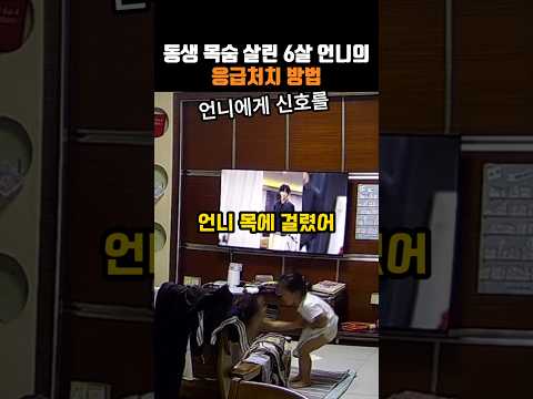 동생 목숨 살린 6살 언니의 응급처치 방법