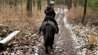 Morgens direkt zum Stall! | MellisBlog