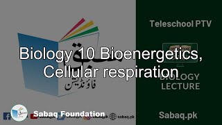 Biology 10 Bioenergetics, Cellular respiration