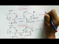 Glycosidic Bonds and Carbohydrate Enzymes