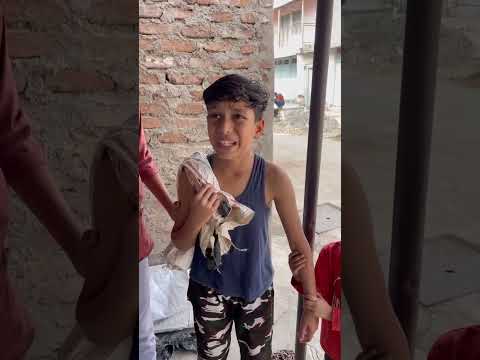 Shiksha Amiri Garibi nhi dekhti 😭💔 #shorts #viral #emotional #short #youtubeshorts