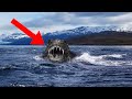 Legendary Creatures and Sightings