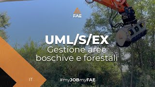 Video - FAE UML/S/EX/VT - UML/S/EX/SONIC - La trincia forestale FAE con rotore a utensili fissi per escavatori da 18 a 25 t