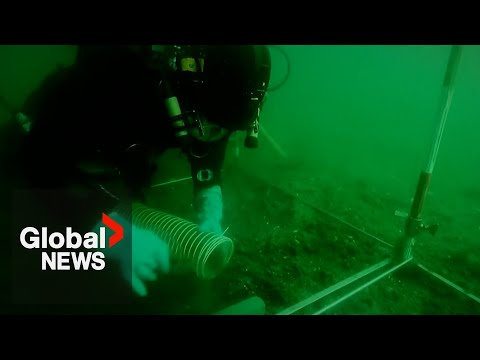 YouTube video thumbnail: "Europe's Atlantis": Archaeologists Excavate Underwater Stone Age Settlement in Denmark