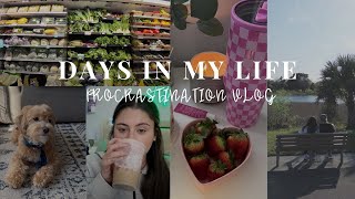 VLOG | few days in my life (new drone, procrastinating, cleaning out my closet)