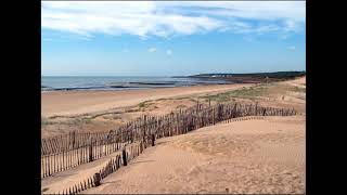 Dune 2021