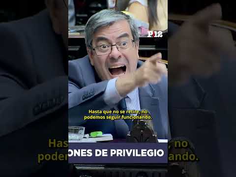 🤬 Así fue la agresión a Myriam Bregman en el inicio del debate por la ley ómnibus