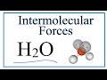 Intermolecular Forces and Water Properties