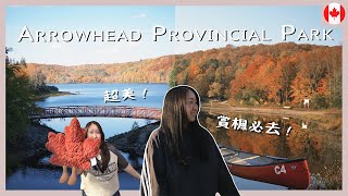 【加拿大Vlog】多倫多秋天賞楓自駕遊！Huntsville+Arrowhead 兩日一夜露營🏕️ Arrowhead Provincial Park｜RAChannel