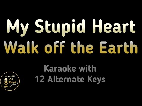 Walk off the Earth – My Stupid Heart Karaoke Instrumental Lower Higher Male Female Original Key