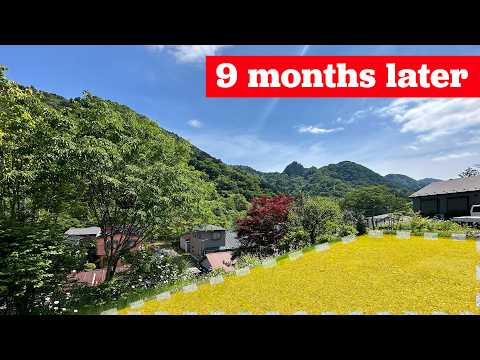 How I ended up buying land in “rural” Japan