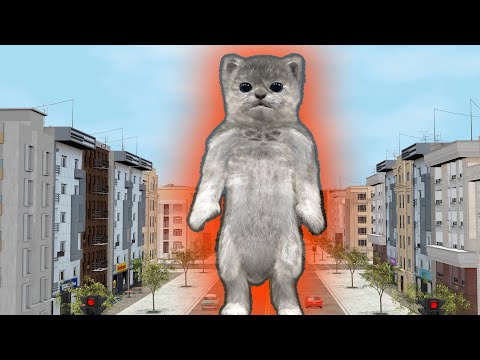 Giant cat