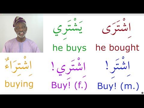 Common Verbs in Arabic, Episode 11