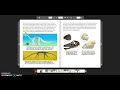 Inferences About Argentinosaurus
