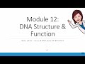 Telomeres and Cellular Aging Concepts