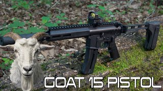 THE LITTLE PISTOL THAT COULD - THE GOAT 15 22LR PISTOL