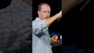 A Deep Dive Into Palm Trees with CRI® Nicholas Hankins | Brush Strokes
