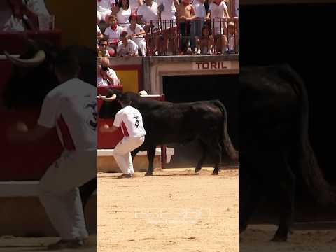SALTA A UN ENORME TORO BRAVO MÁS ALTO QUE ÉL #tricks #scary #bull