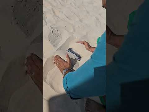 خايف موبايلك يضيع عالرمله؟ #summer_hacks