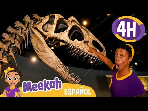 El rugido del dinosaurio de Meekah | 💜¡Hola Meekah!💜Amigos de Blippi | Videos educativos