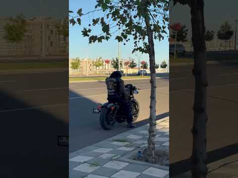 No music,just listen. #harleydavidson #chopperstyle #harleyaudio #iron883