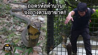 ถอดรหัสตำนานจงอางตามอาฆาต!!