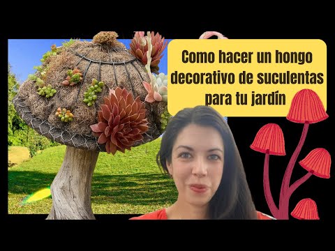 Creando un hongo decorativo de suculentas 😍