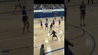 Volleyball skills , joke