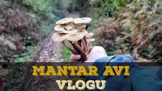 ORMANDA MANTAR AVINA ÇIKTIK!