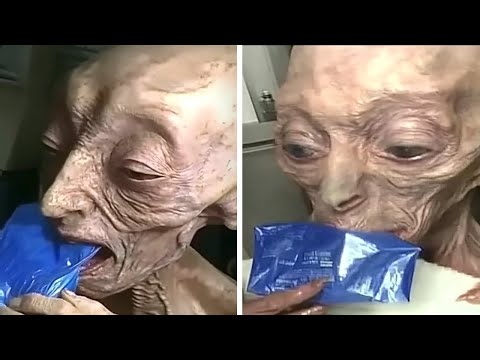 A Woman Found A Alien Creature In Her Backyard In San Jose, California