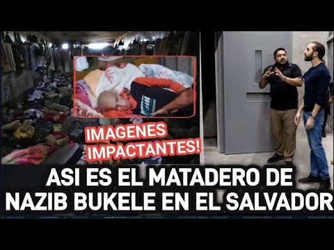 Sale a la Luz el matadero de Nayib Bukele igual que al de siria! Salen imagenes impresionantes!