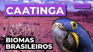 BIOMAS BRASILEIROS: Caatinga | Biologia para o Enem e o Encceja | Cláudia de Souza Aguiar