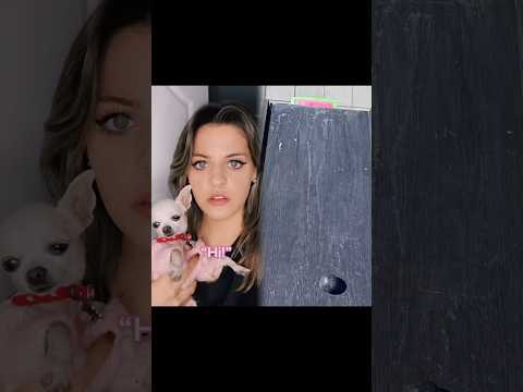 You and your soulmate switch pets PART 3 #foryoupage #pov #duet