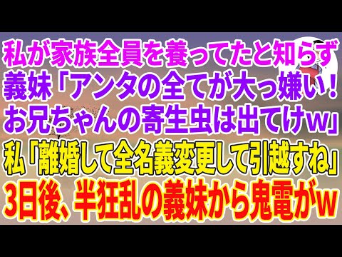 【スカッと総集編】私が家族全員を養ってたと知らず義妹「アンタの全てが大っ嫌い！お兄ちゃんの寄生虫は出てけw」私「離婚して全名義変更して引越すね」3日後、半狂乱の義妹から鬼電がw【朗読】【スカッと】