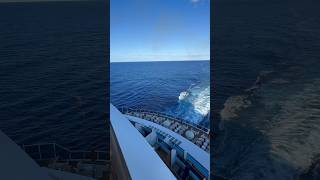 Cruise tip on cabin location if you are booking your first cruise!
