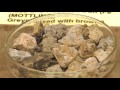 Soil Color Determination Concepts