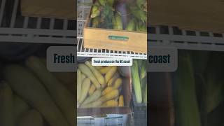 Petals & Produce in Bath, NC