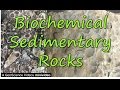 Exploring Biochemical Sedimentary Rocks and Their Formation