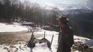 #202 Roof Trim Done, Garden Beds & New Chickens