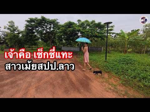 พาเมียสาวเม้ยสปป.ลาวอยู่โคกหนองนาที่ประเทศไทยแบบเรียบง่ายตั้งแต่อยู่กระท่อมเล็กๆสู้มาด้วยกัน 🇹🇭💞🇱🇦